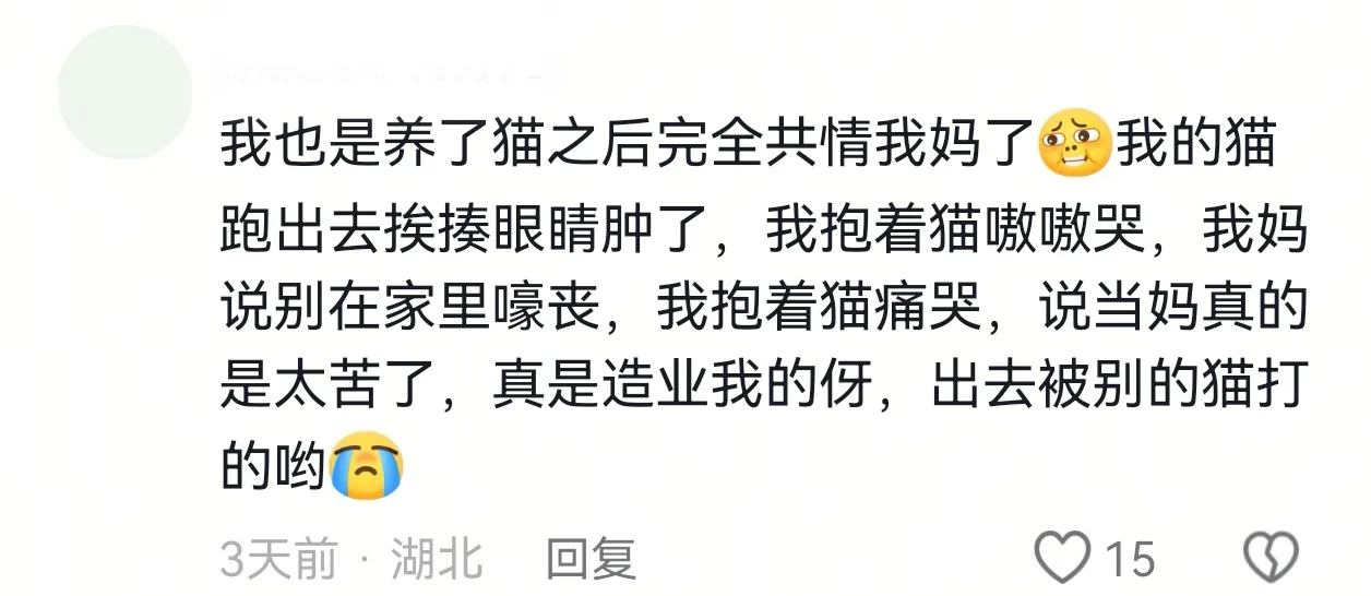 图片 4