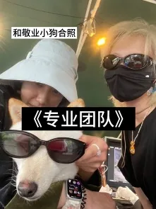 图片 10