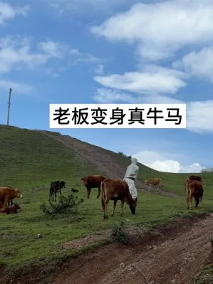 图片 7
