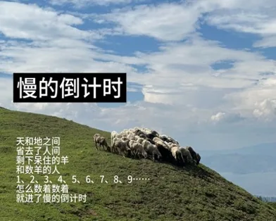 图片 5