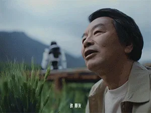 图片 16