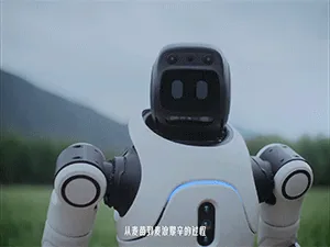 图片 1