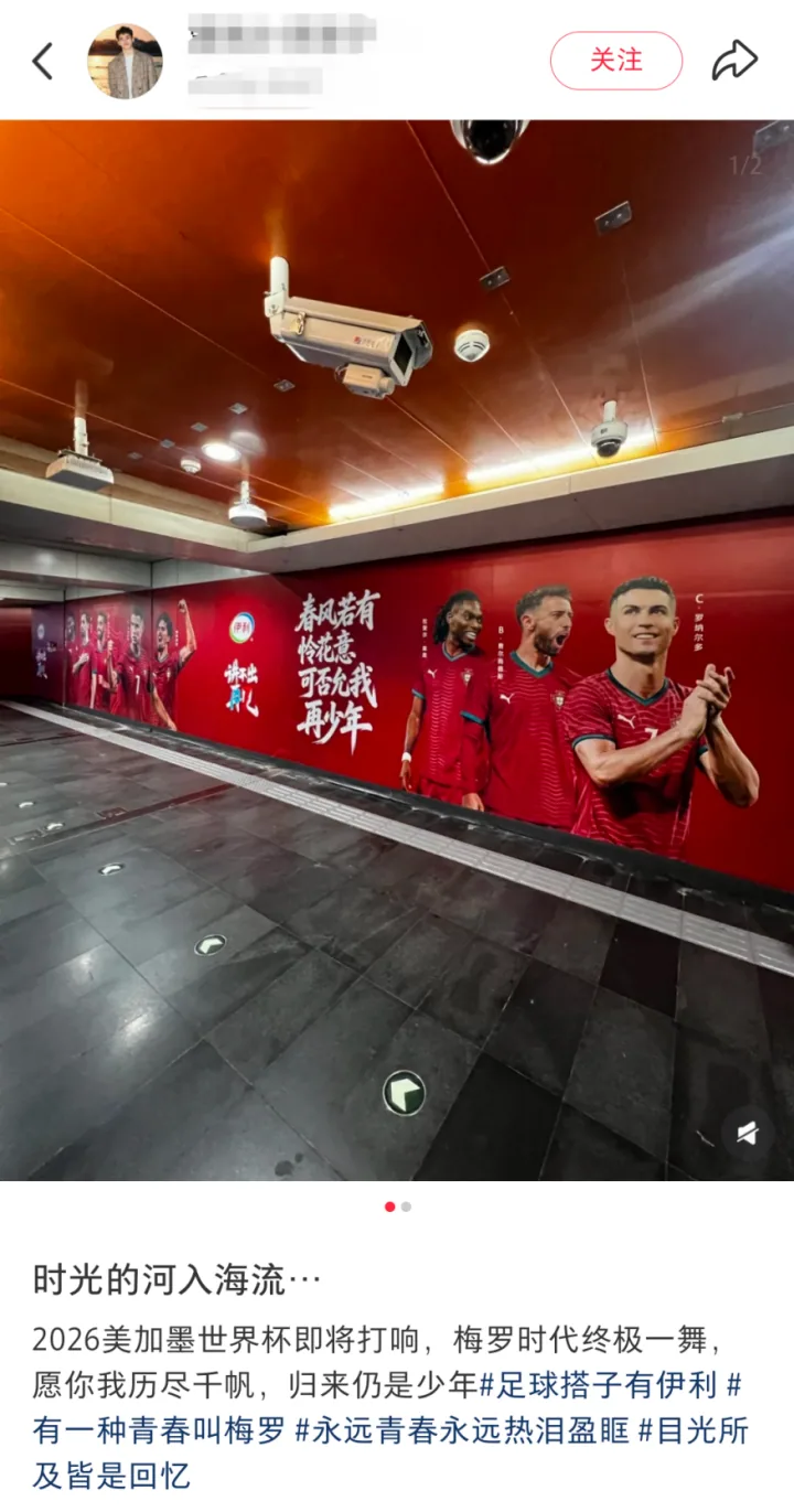 图片 15