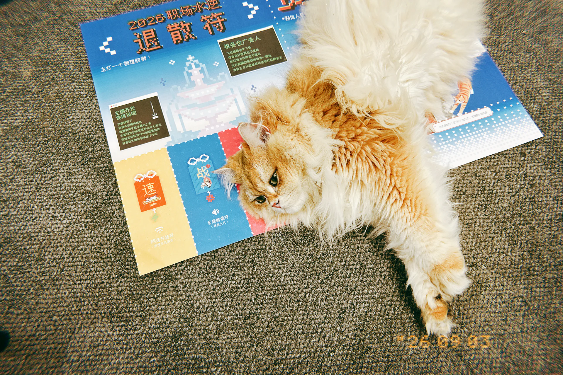 小猫躺在《赞报了》报纸上